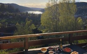 F3 Superbe vue lac, grand balcon, ambiance nature